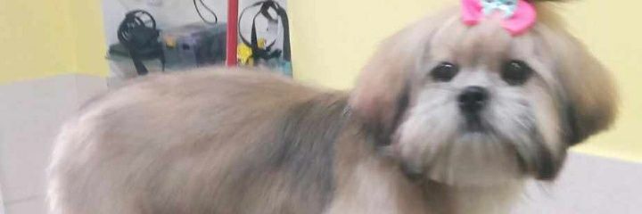 DorisRo01229789's profile banner image