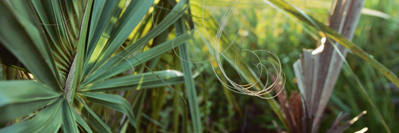 sehackney's profile banner image