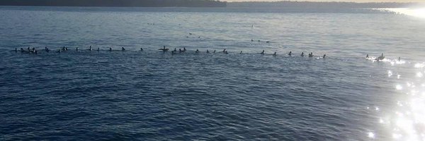 MelanieJackson Profile Banner