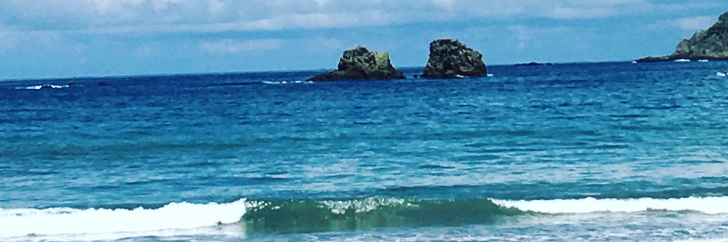 LisaRBoland's profile banner image