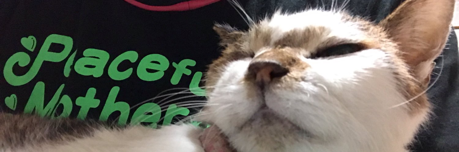 キャベつ(バラさん)👑💙 banner