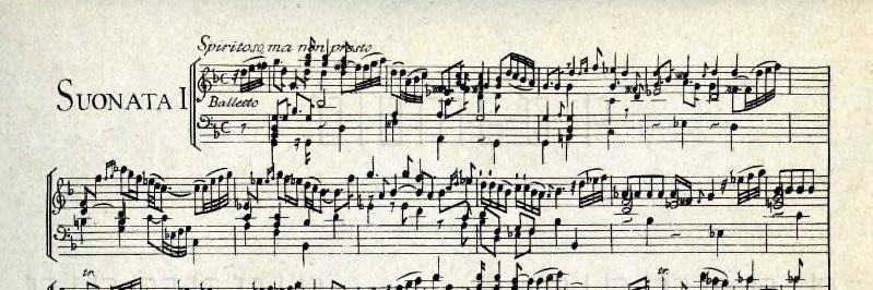 Michael Leonas, M.MEd. (he/him/his) banner