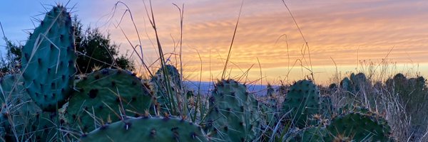 KellyFranson Profile Banner