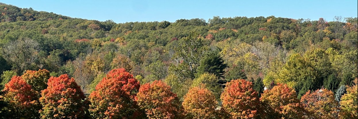 Thomas Logan / Techトーマス banner