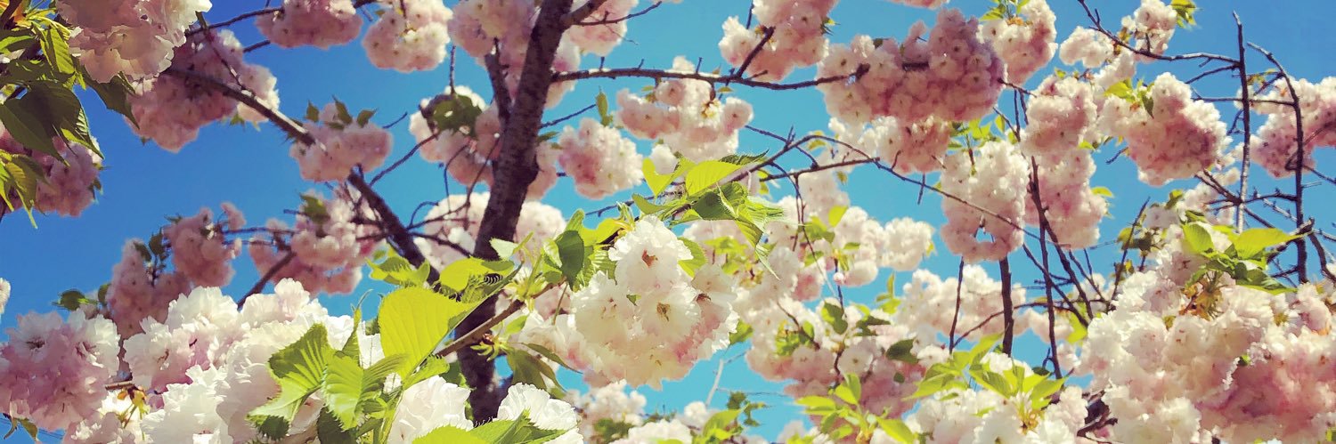 みわともみ banner