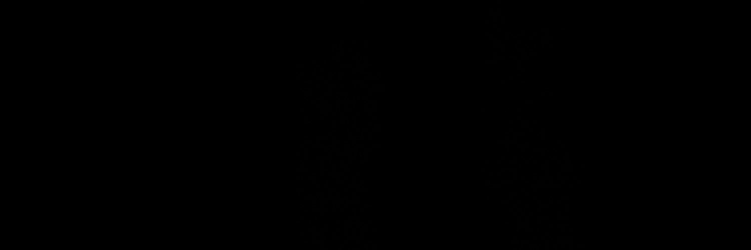 A. banner