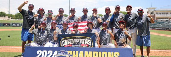 FS21_Baseball Profile Banner