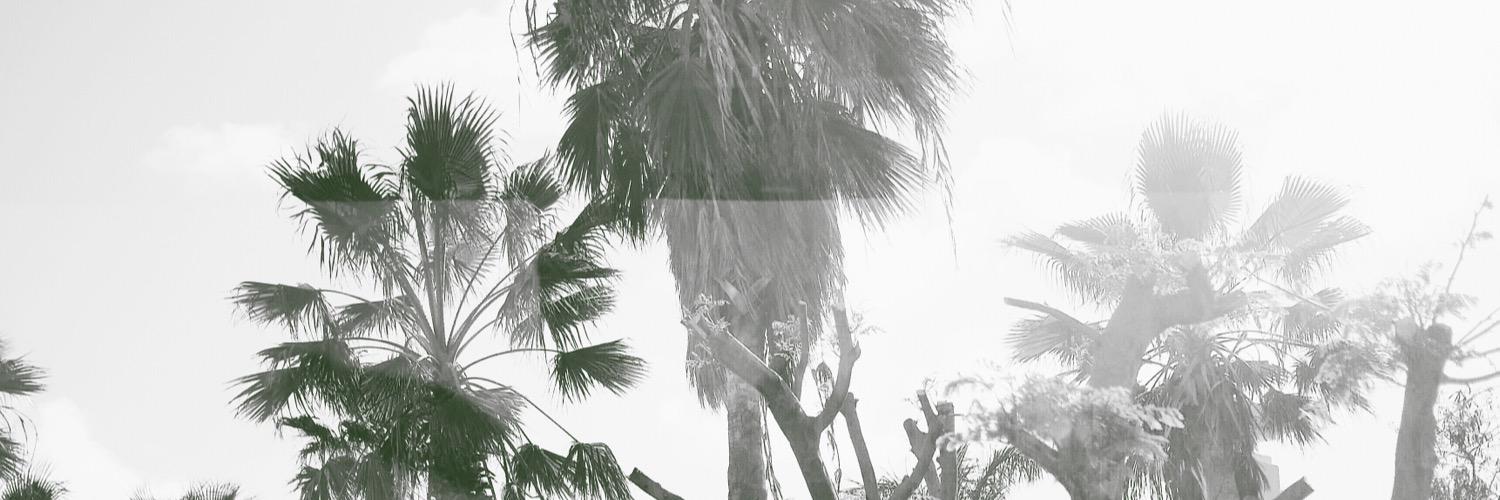 lindspruitt's profile banner image