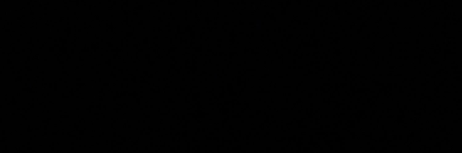 Bad Ravens Guy banner