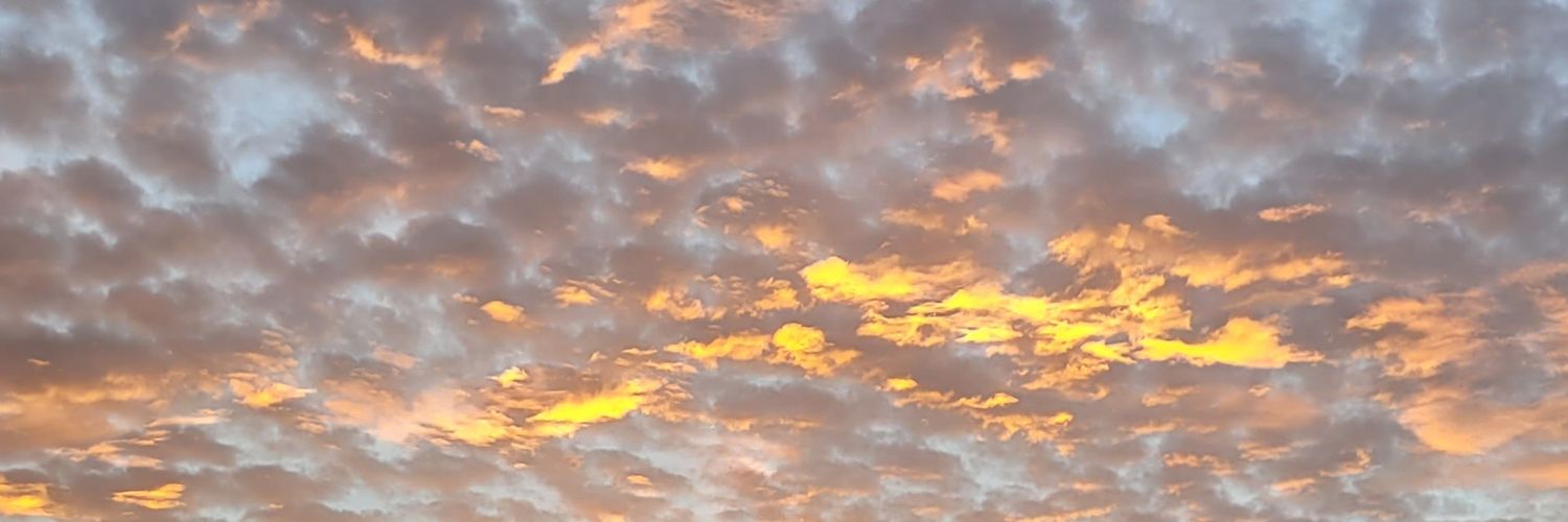 ShaneSBryan's profile banner image