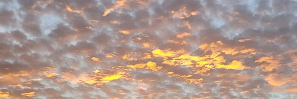 ShaneSBryan Profile Banner