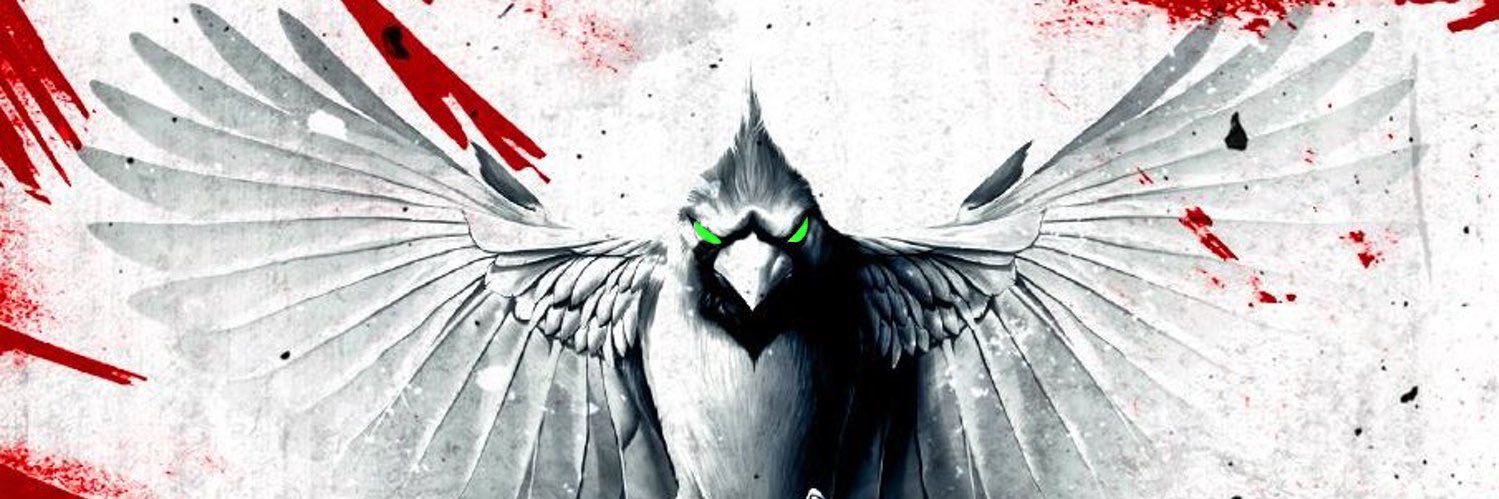 🏈FLY CARDINAL🏀 banner