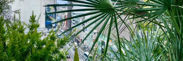miho_hanzawa Profile Banner