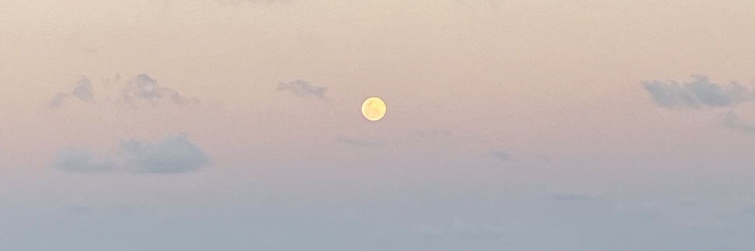 carsonfielding's profile banner image