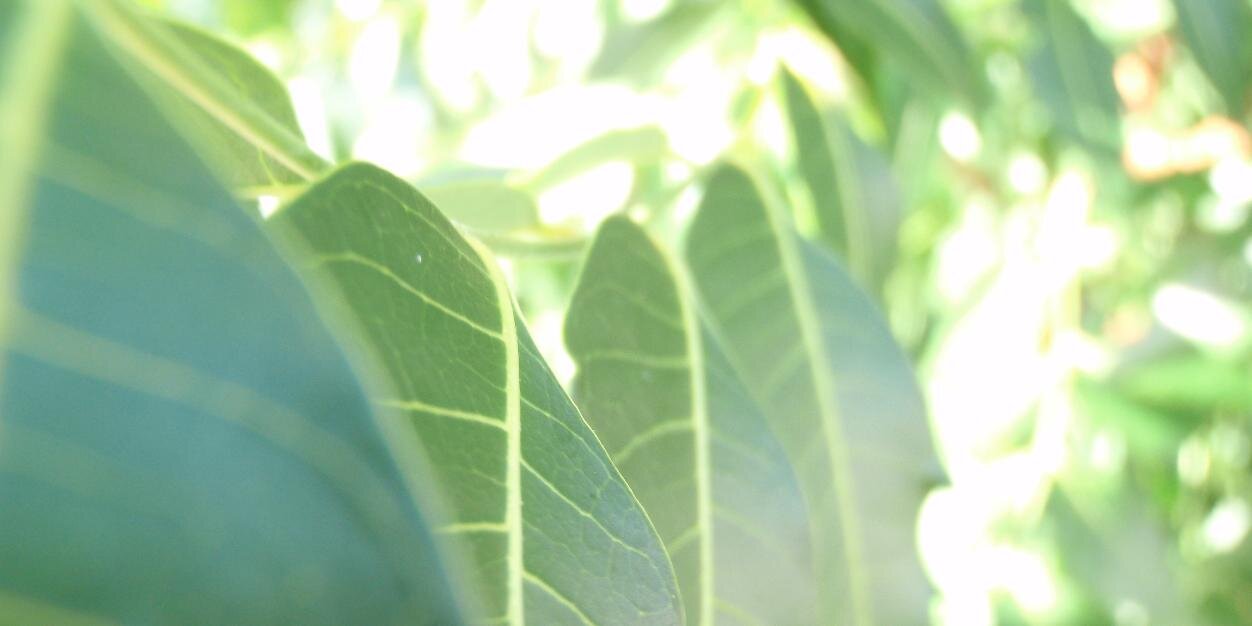 supersistence's profile banner image
