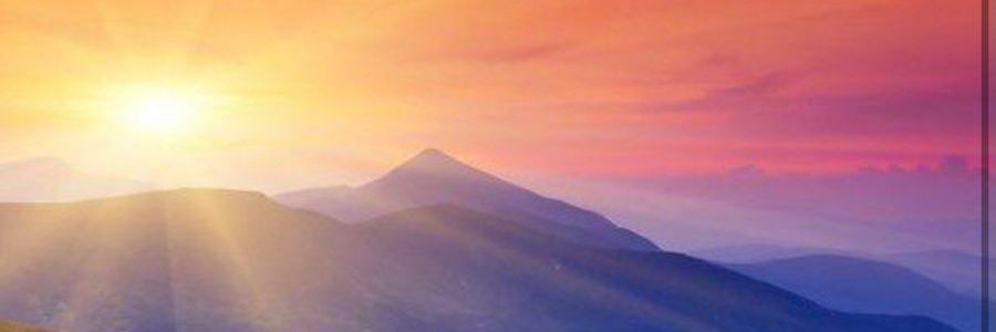 AVianchetto's profile banner image