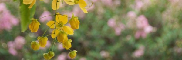 💀💀💀💀 banner