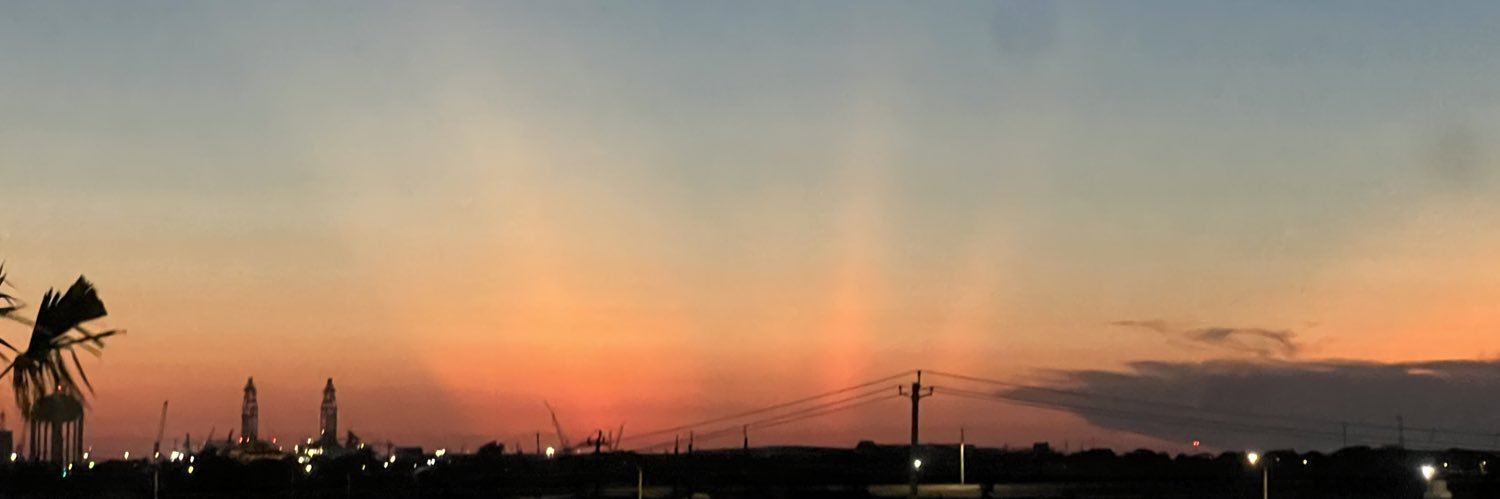 SunshineAusten banner