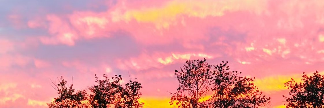 Ray_Me's banner
