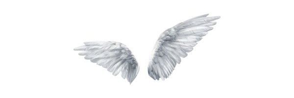 sacredpulse_'s profile banner image