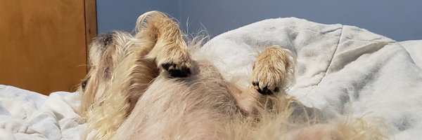 mneubert Profile Banner