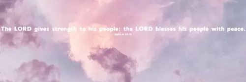 🌸Nia Delight ✨Ninii✨ I C O N🌸 banner