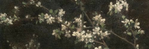 rowan! banner
