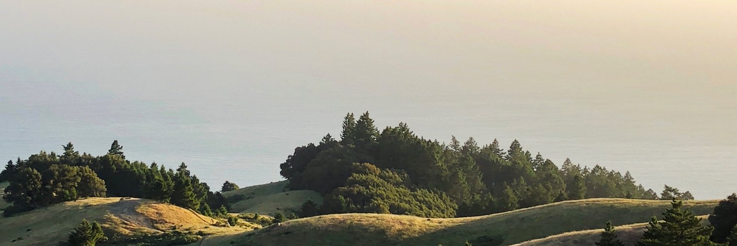 Maykel Loomans banner