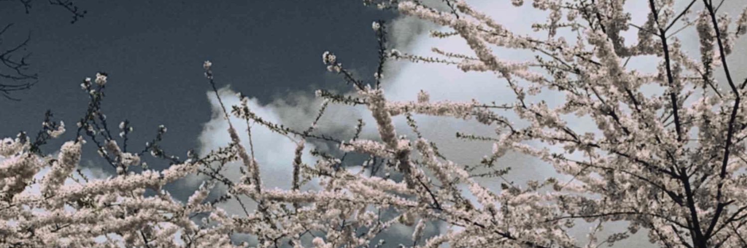 mluke_13's profile banner image