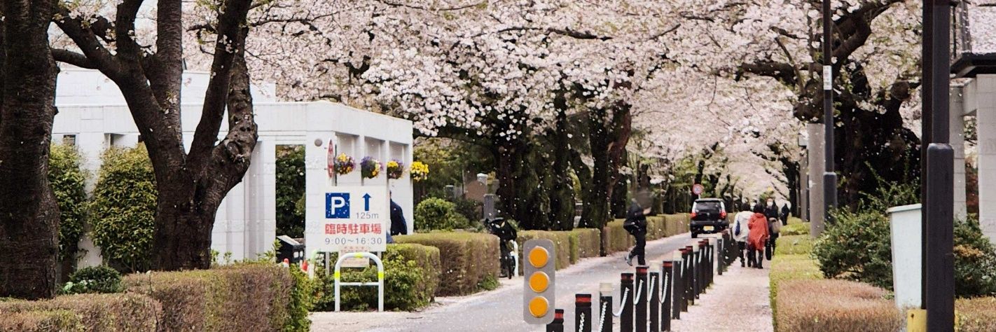 ᕼᗩᑎᗪՏOᗰᗴ ᵐᵒᵒⁿ 🌙 banner