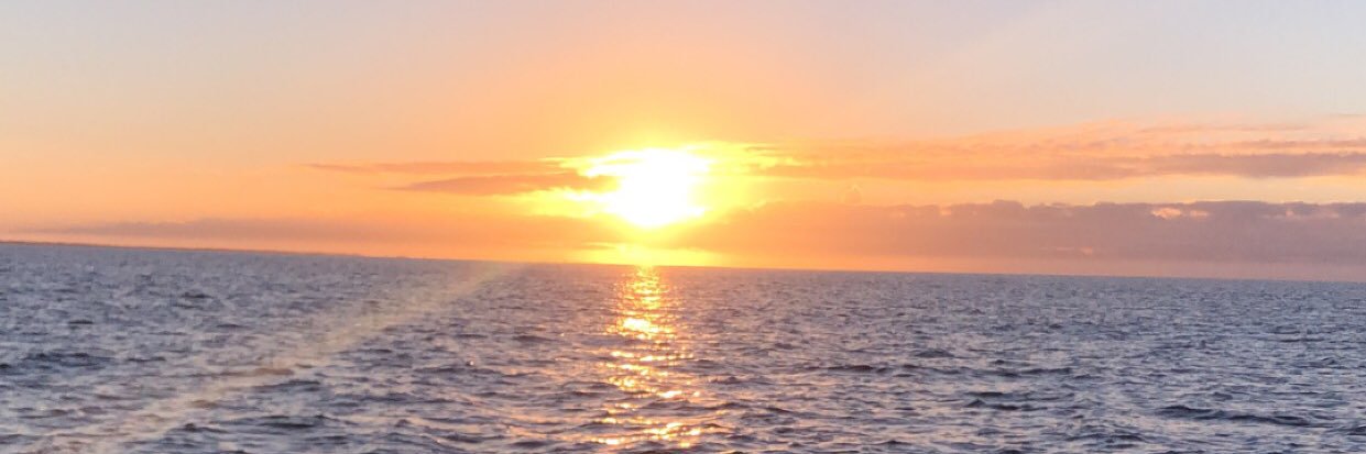 GregoryJohnson_'s profile banner image