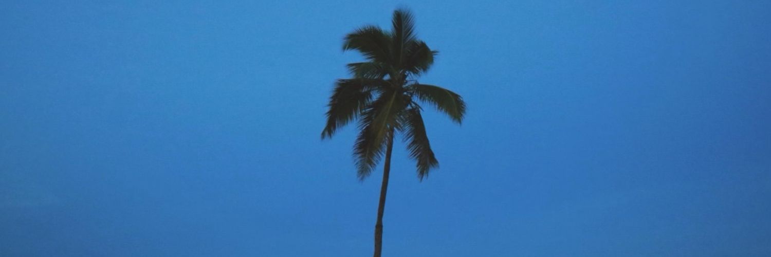 Guanyu_0's profile banner image