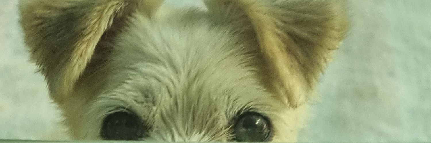 MA_RI_17's profile banner image