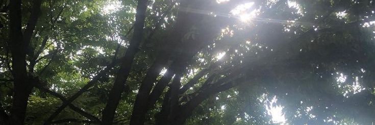 ౨ৎ banner