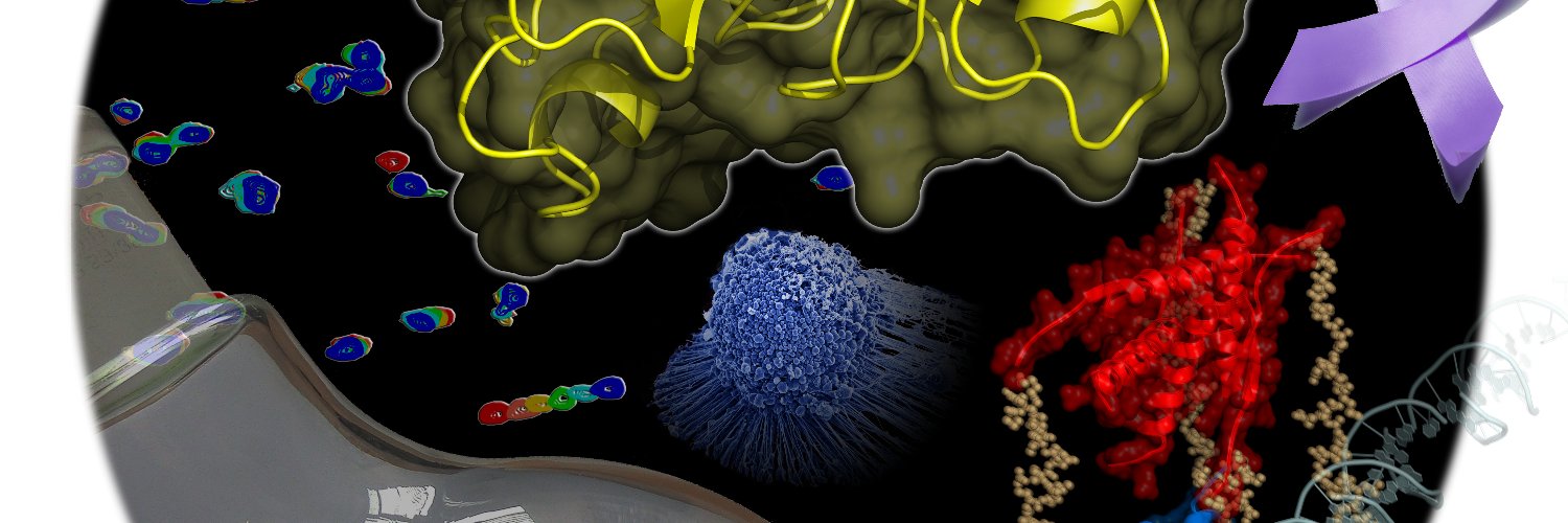 Archiv der Pharmazie banner