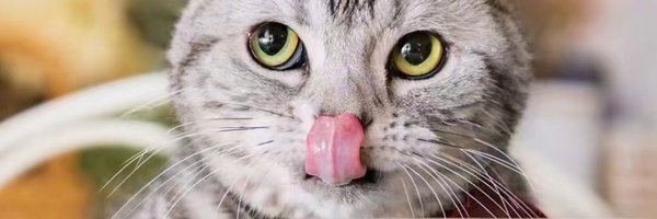 IPFS888999 Profile Banner