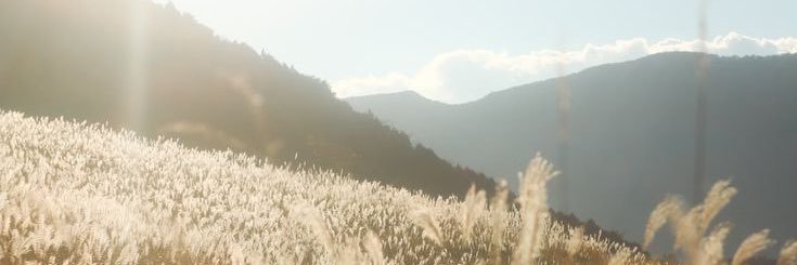 𝜗ৎ banner