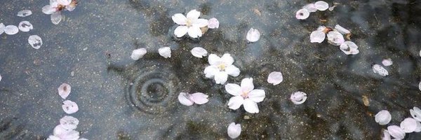 winislov Profile Banner