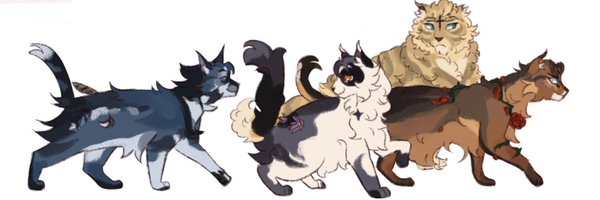 SUNNPANTHER Profile Banner