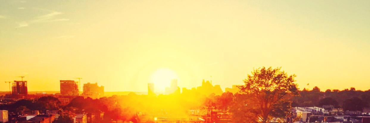 Tracy Tarbart (Stratemeyer) banner