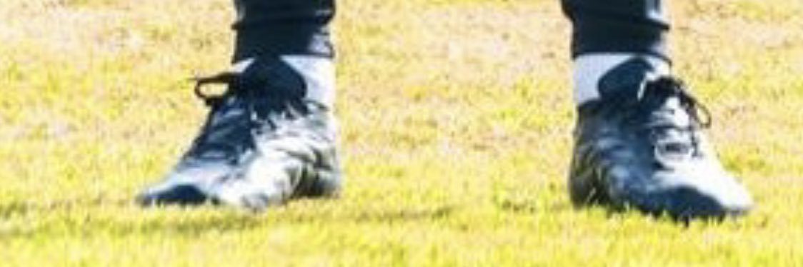 AlfredDenLille banner