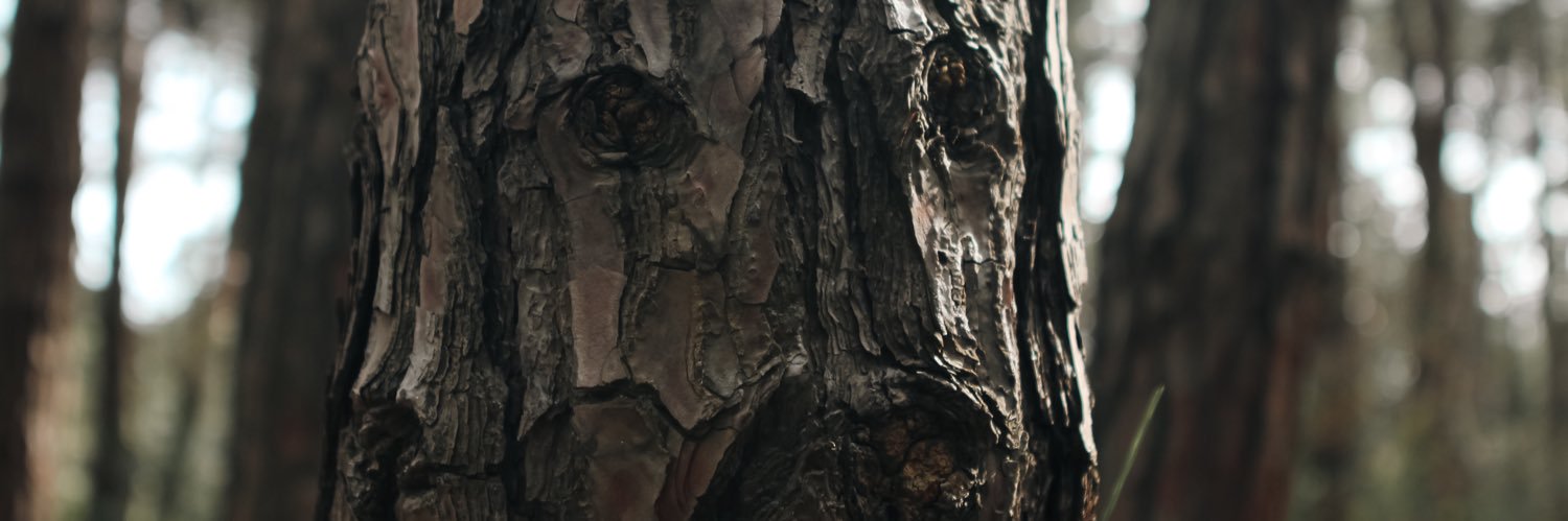 starburned__'s profile banner image