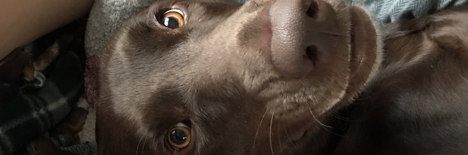megm97_'s profile banner image