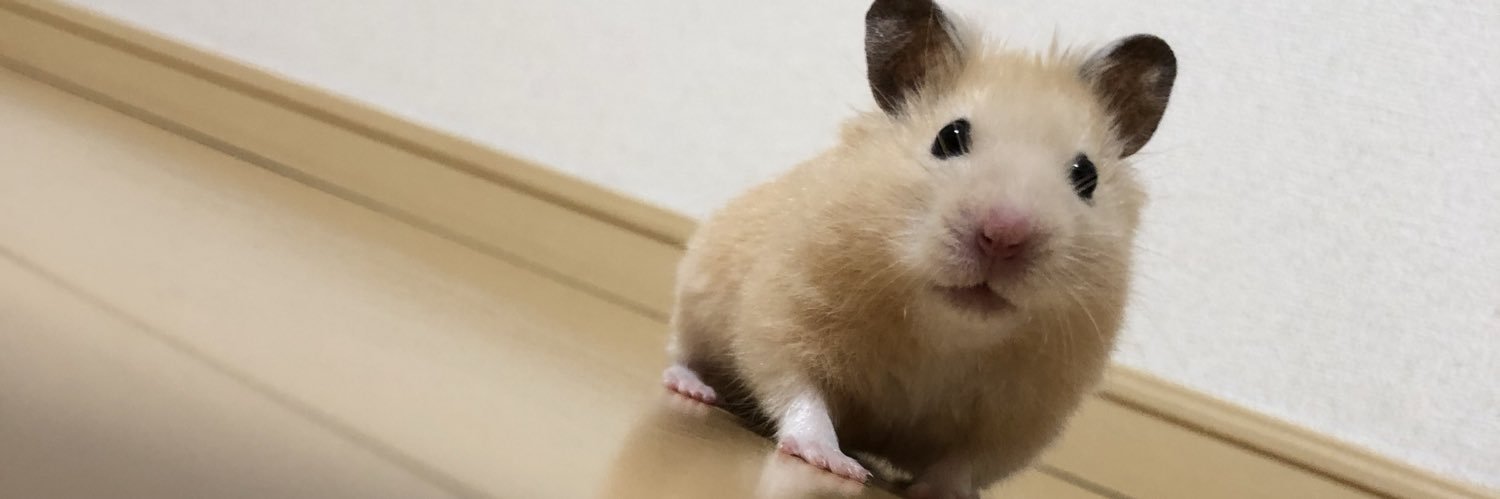 mik0shin's profile banner image
