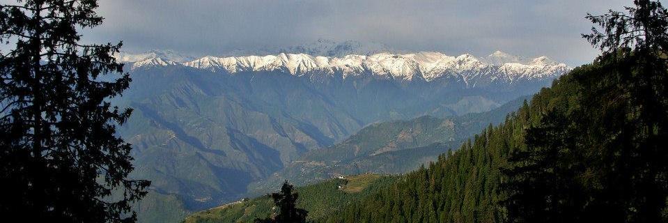 rohitbhatster's profile banner image