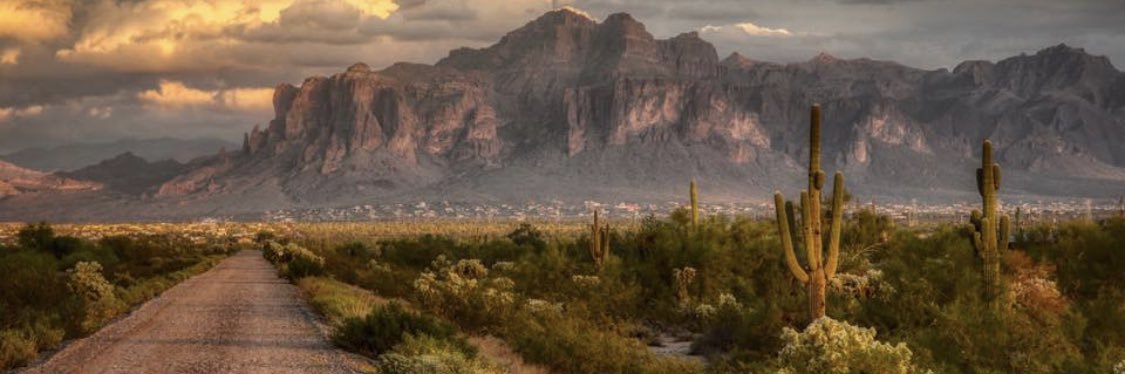 Tyler_Ronnebeck's profile banner image