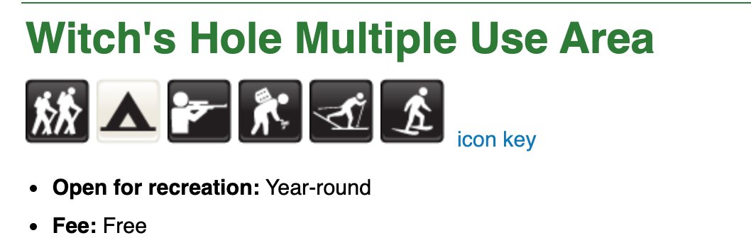 vegetarian librarian banner