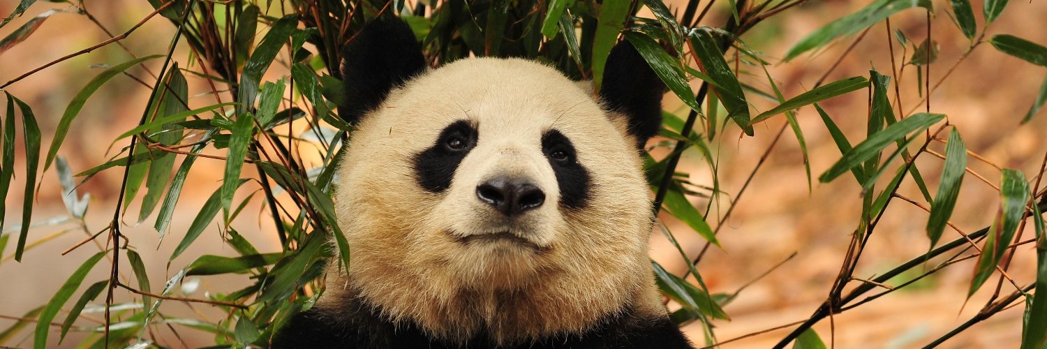 ShanghaiMasters | 上海大師賽 banner