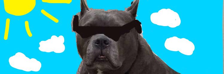 Dr_Phinn's profile banner image