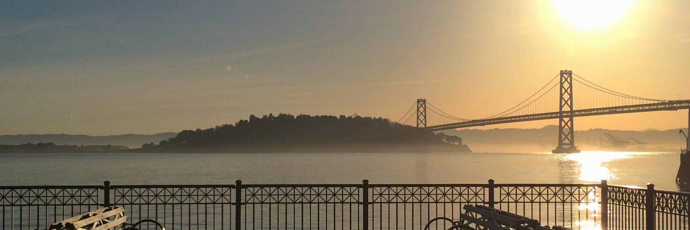 Stephen Megitt banner